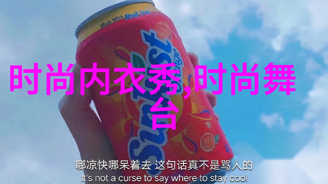 重生香港娱乐后宫繁星点点的梦想与欢笑