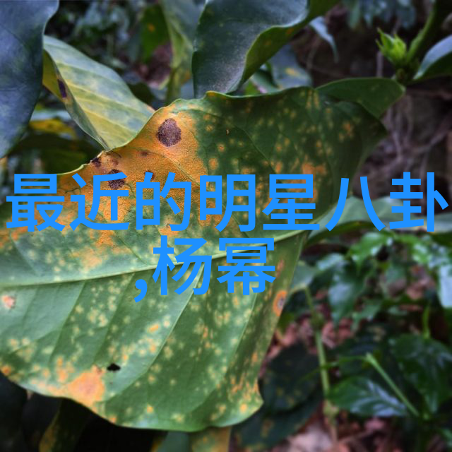 极致视觉体验青春娱乐盛宴的魅力展示