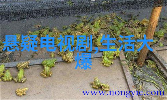 最正宗的太极八卦图中国古代文化中的阴阳和五行元素