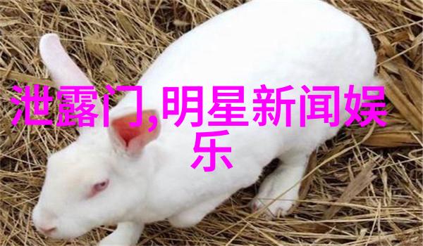 王洋的孤独交响曲