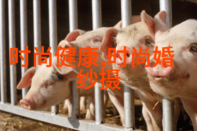 湖南跨年倒计时3天娱乐盛宴即将开启阵容组搭猜测持续进行创意无限