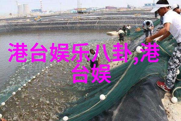 421pdf从PDF到奇幻之旅的秘密