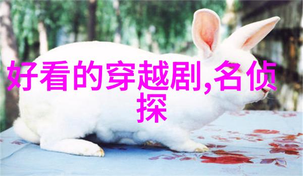 医生免费完整版播放揭秘韩国电影的医疗人性之旅
