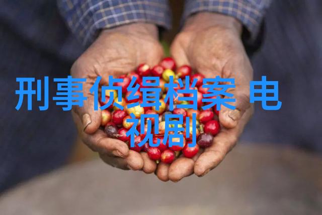 绚彩星光探秘那些令人叹为观止的好看综艺节目