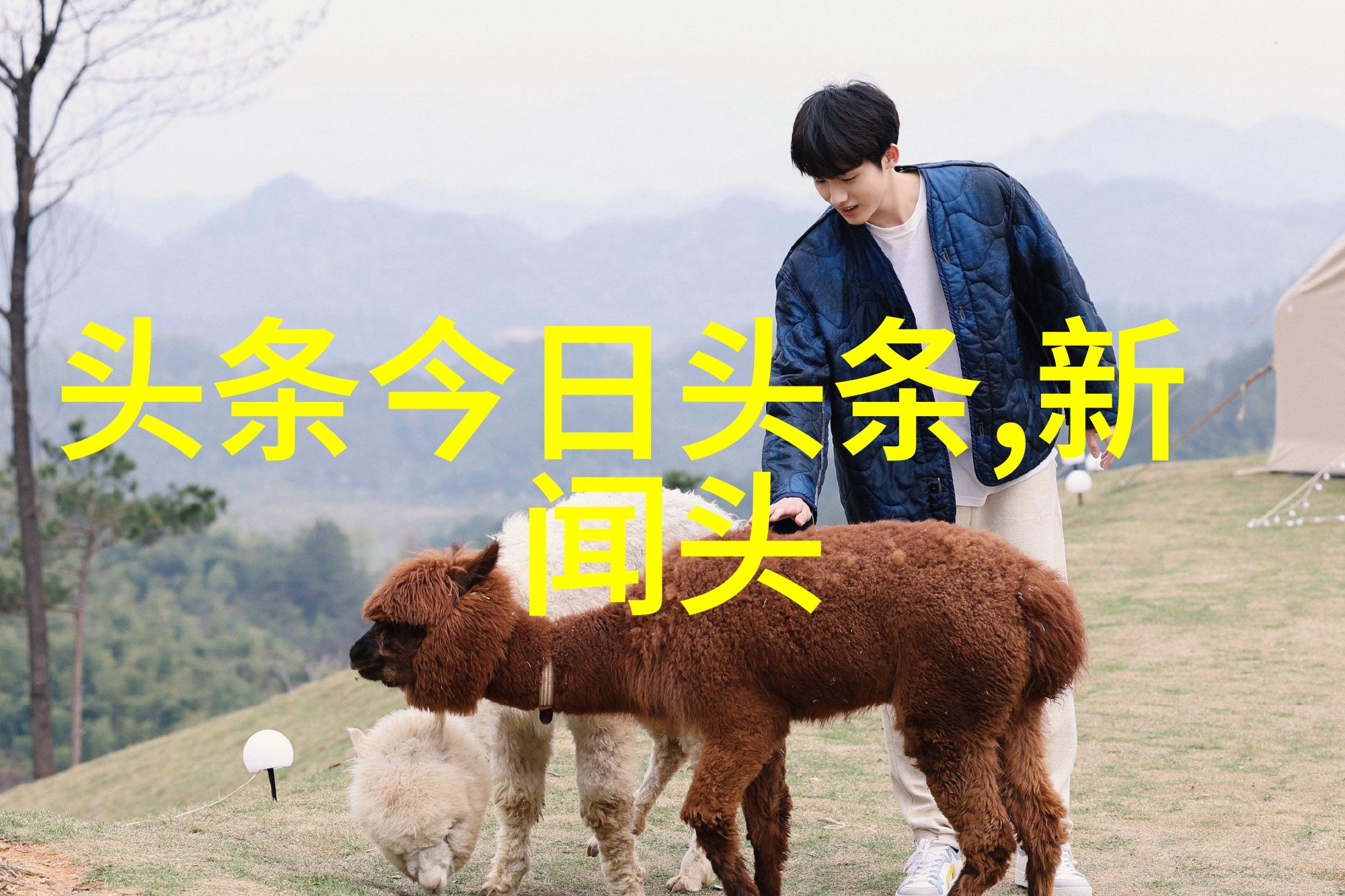 星辰影视大师课深度解析电影制作技巧