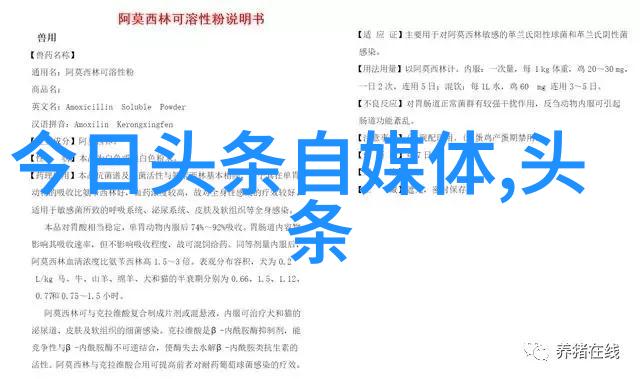 山河之恋探索江山多枭的文化内涵与艺术表达