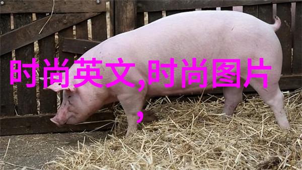 小学生最爱唱的热门儿歌快乐的旋律与童真梦想
