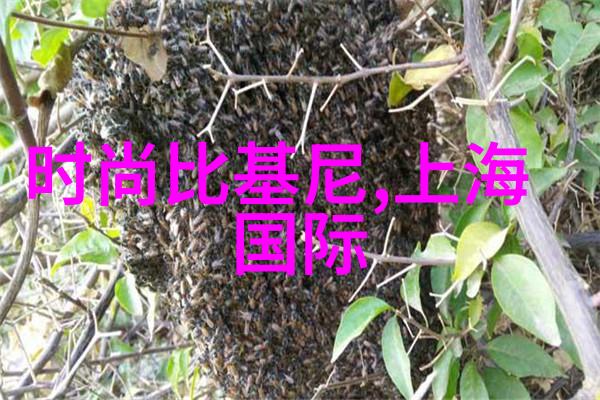 主题我在生活的道路上缓慢而又坚定的撞着