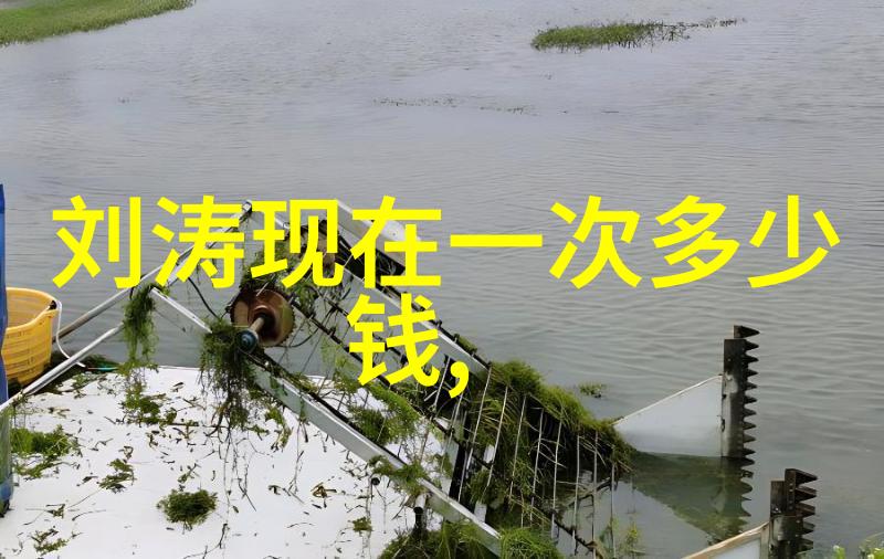 星辰之谜算命的秘密与真相