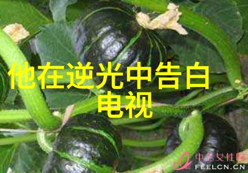 电视剧全纪探索银幕上千年故事的魅力