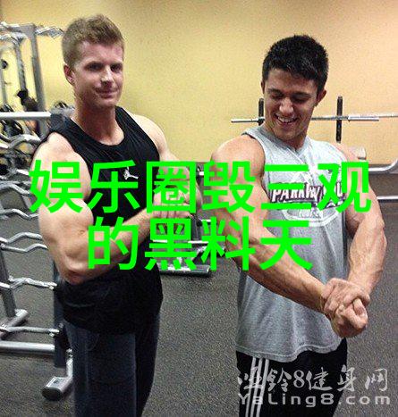 综艺男神魅力电视节目中的风采与吸引力