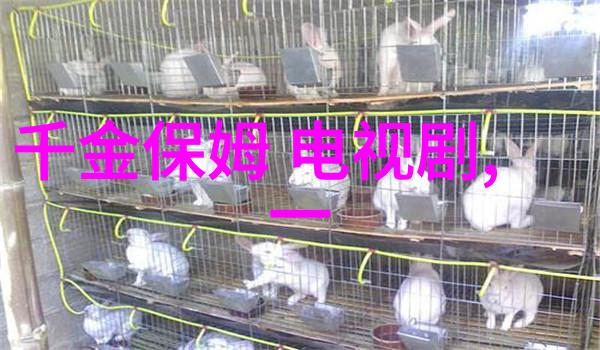 照片背后的故事黄景瑜的人文探索
