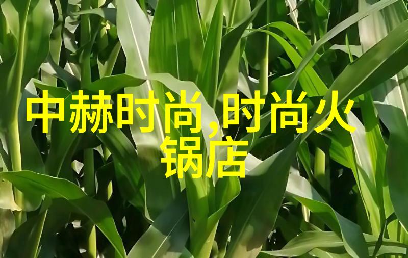 跨界合作与创新66 影视与国际市场的深度融合探讨