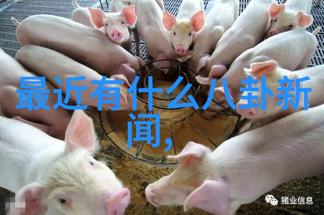 经典老歌500首完整版艾辰新曲最高地位震撼上线QQ音乐S制造带你穿越音乐时空