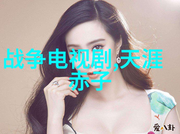 大陆集团公司的核心业务是什么
