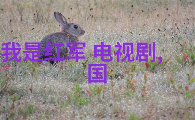 瞬间捕捉一张图片如何记录时间的流逝