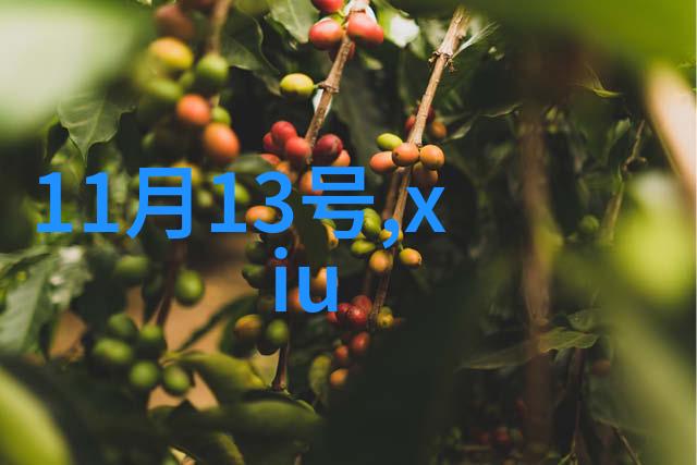 旋律之翼揭秘免费音乐视频的艺术