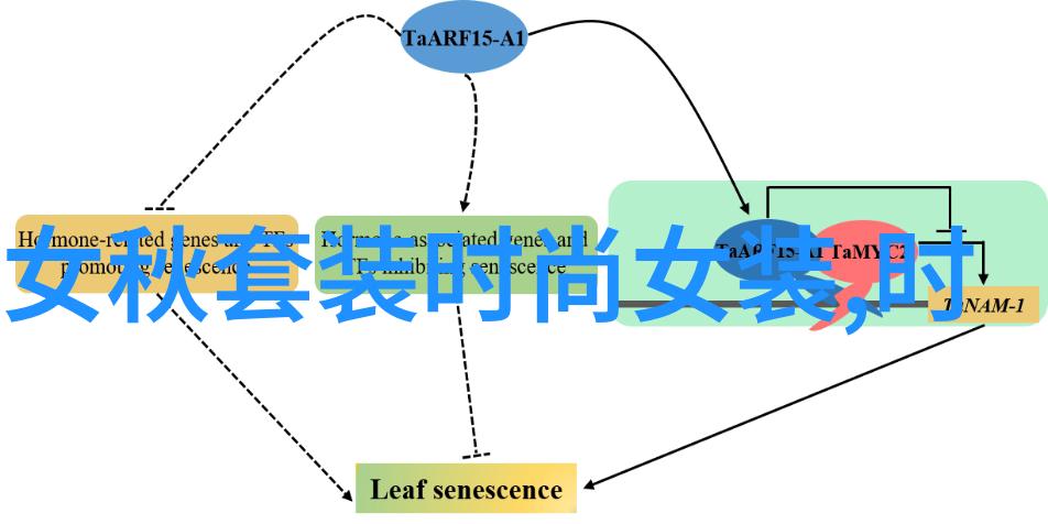 八字算命大师免费网站让你成为星际预言家