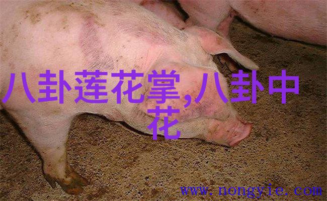身材比例优化指南让你的体态在诱惑照片中更加完美