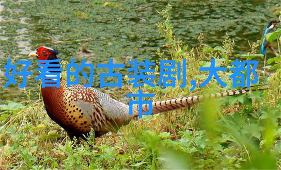 K-娱乐风云韩国星光闪耀的最新动态