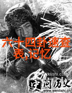 韩国电影夫妻情深描绘爱与挑战的影视故事
