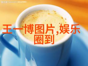 天天娱乐网王子慧明日之子大牛与王子慧是不是双胞胎姐妹