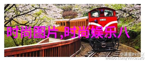 视觉盛宴图片大全图册的绚丽篇章
