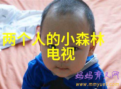 文化与艺术-金瓶梅电影版古典文学的现代再现与挑战