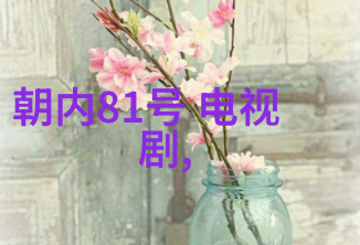 穿越时光的视角日本写真集中的经典瞬间