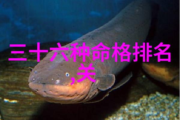 先天八卦与五行的应用艺术探究