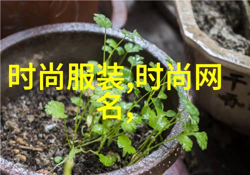网红的简介我是小王子我在社交媒体上火了