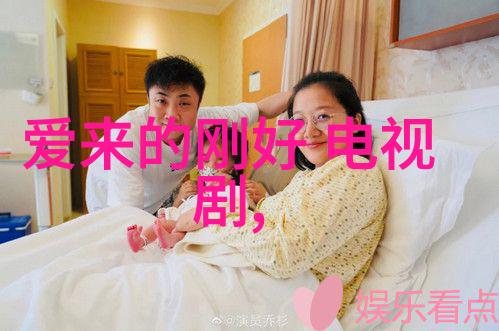 范丞丞12月26日双子座之才华横溢的灵魂星座简历介绍