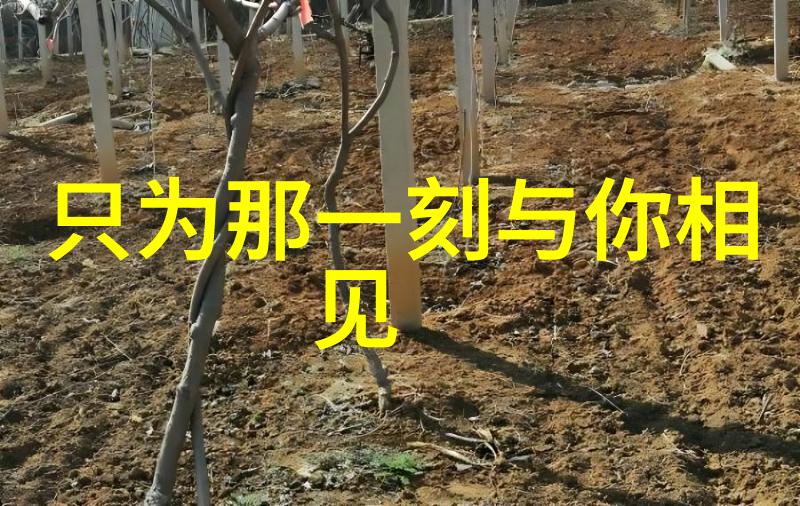 跨界交融探索人与畜禽Croproation网站的奇妙边界