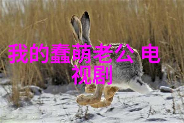 塞东西乖不许掉出来创意与实用性并重的日常生活探索