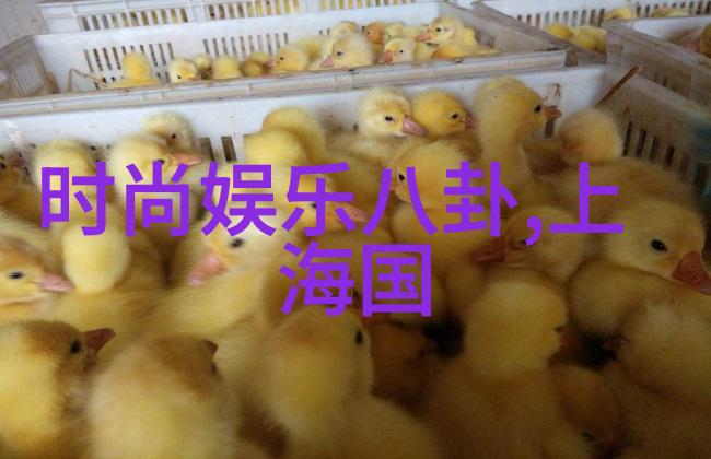 你的收藏中哪一部电视剧最让你印象深刻