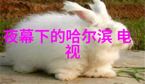 广东网红共鸣与辉煌的前二十