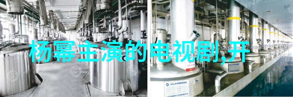 王洋的人生哲学追求卓越不止步