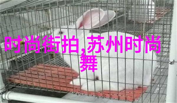 跨海共赏台湾观众与大陆电视剧的爱情故事