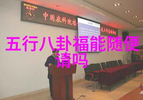 飞奔的孤独与静止的温柔
