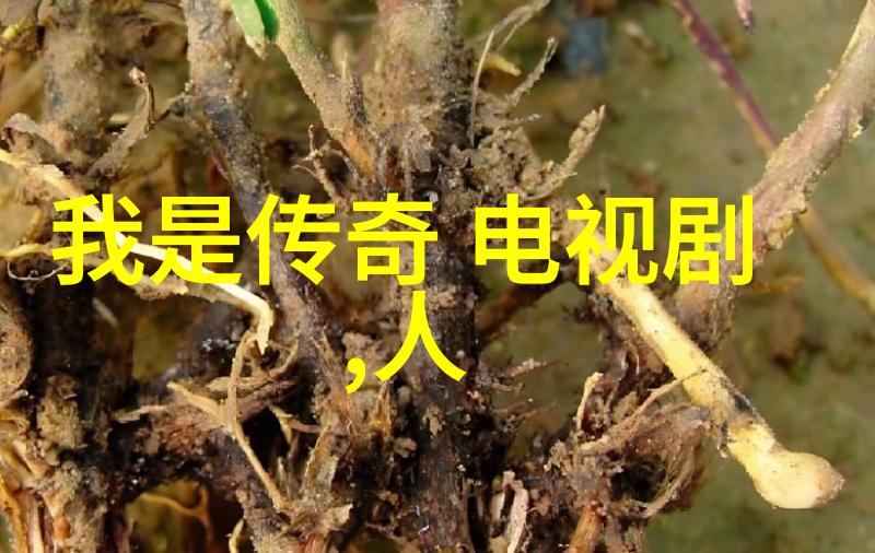 目前台湾最新消息新闻李明珊中秋业绩如同满月般璀璨破千万成就正如陈芳语声带息肉治疗中的巧手妙医温柔而又