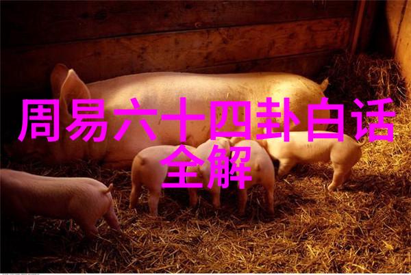 骄阳伴我一段温暖的旅程
