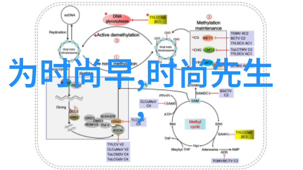 地球的演变探索大陆漂移说的证据与过程
