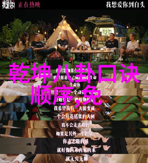 专业摄影技巧写真摄影艺术