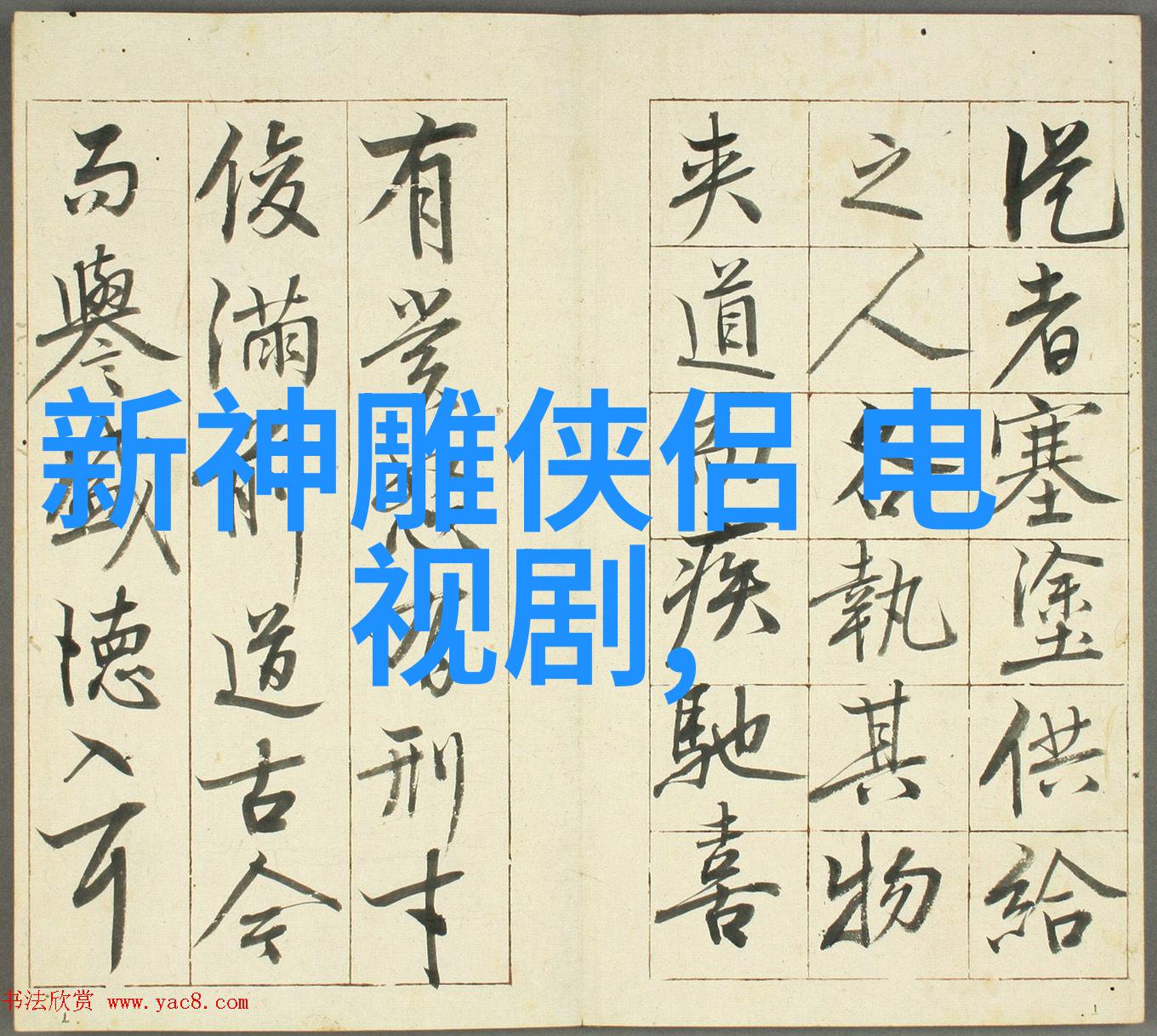 时尚边界探索个性魅力的现代个人写真艺术