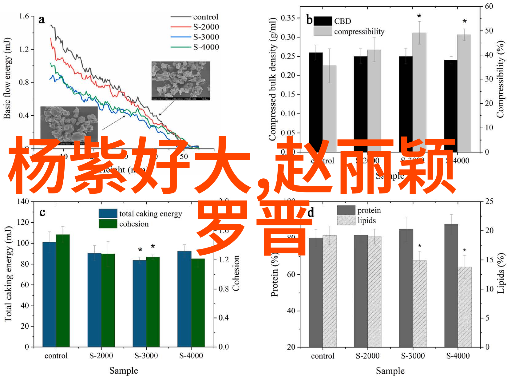 探索未知的新边界新西游记综艺的奇幻旅程