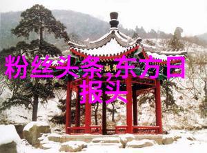 网红直播最高人气记录爆红主播