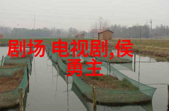 天文星座与历法年份的对应关系研究探究3月份所属星座之谜