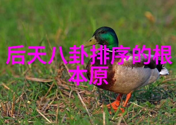 汪峰抢头条5连败从歌坛巨星到新闻版面孤狼的逆袭之旅