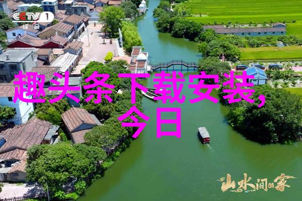 误入综艺镜头后我火了从街边小能手到网红一夜成名的荒唐历程