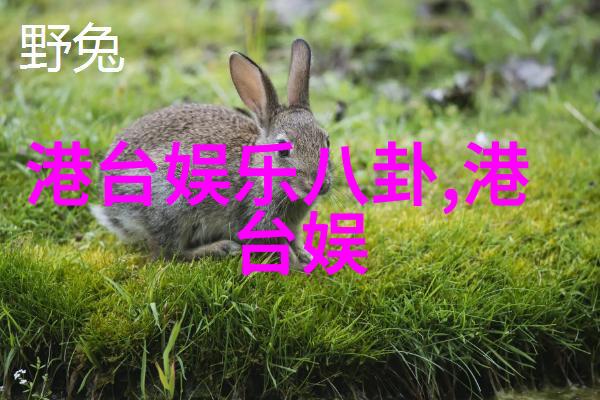 音乐与生活-周深的写真捕捉声音与影像之间的美妙对话